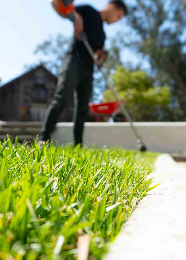 Landscape Maintenance - Dream Cuts