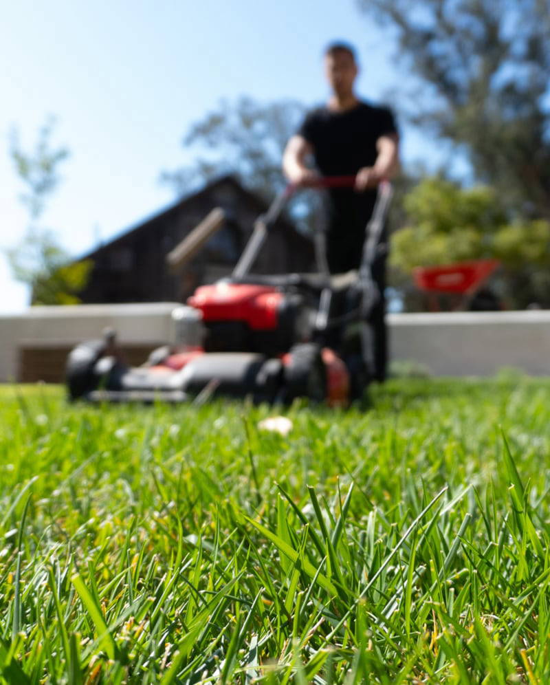 Lawn Mowing Services - Dream Cuts