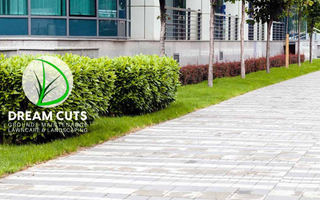 The Role of Grounds Maintenance Companies in Keeping Commercial Spaces Pristine