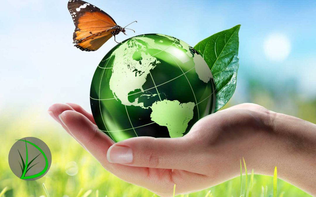 Eco-Friendly Landscaping: Sustainable Solutions for Your Outdoor Space