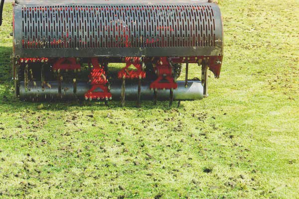 Aeration | Dream Cuts