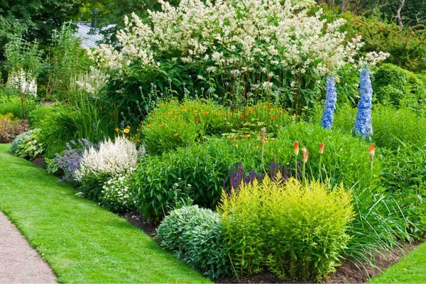 Garden Bed Maintenance - Dream Cuts