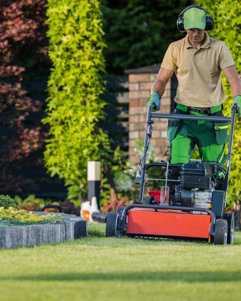 Dream Cuts Mowing