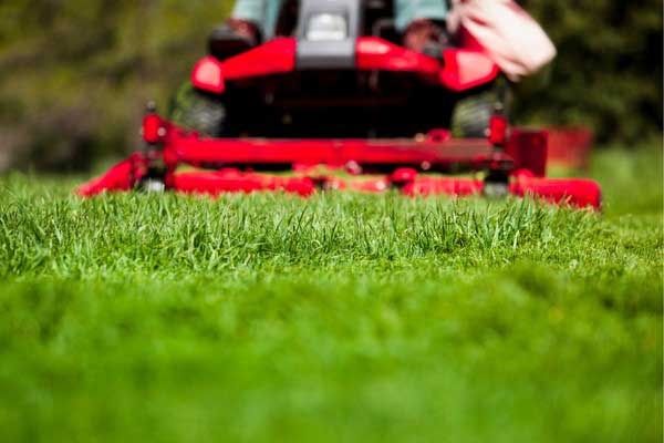 Lawn Mowing | Dream Cuts