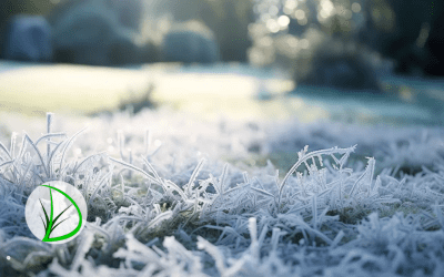 Seasonal Landscaping Maintenance: Preparing Your Lawn for Winter